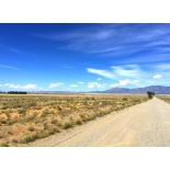 New Mexico Lot Close to Roads! Bid Now!