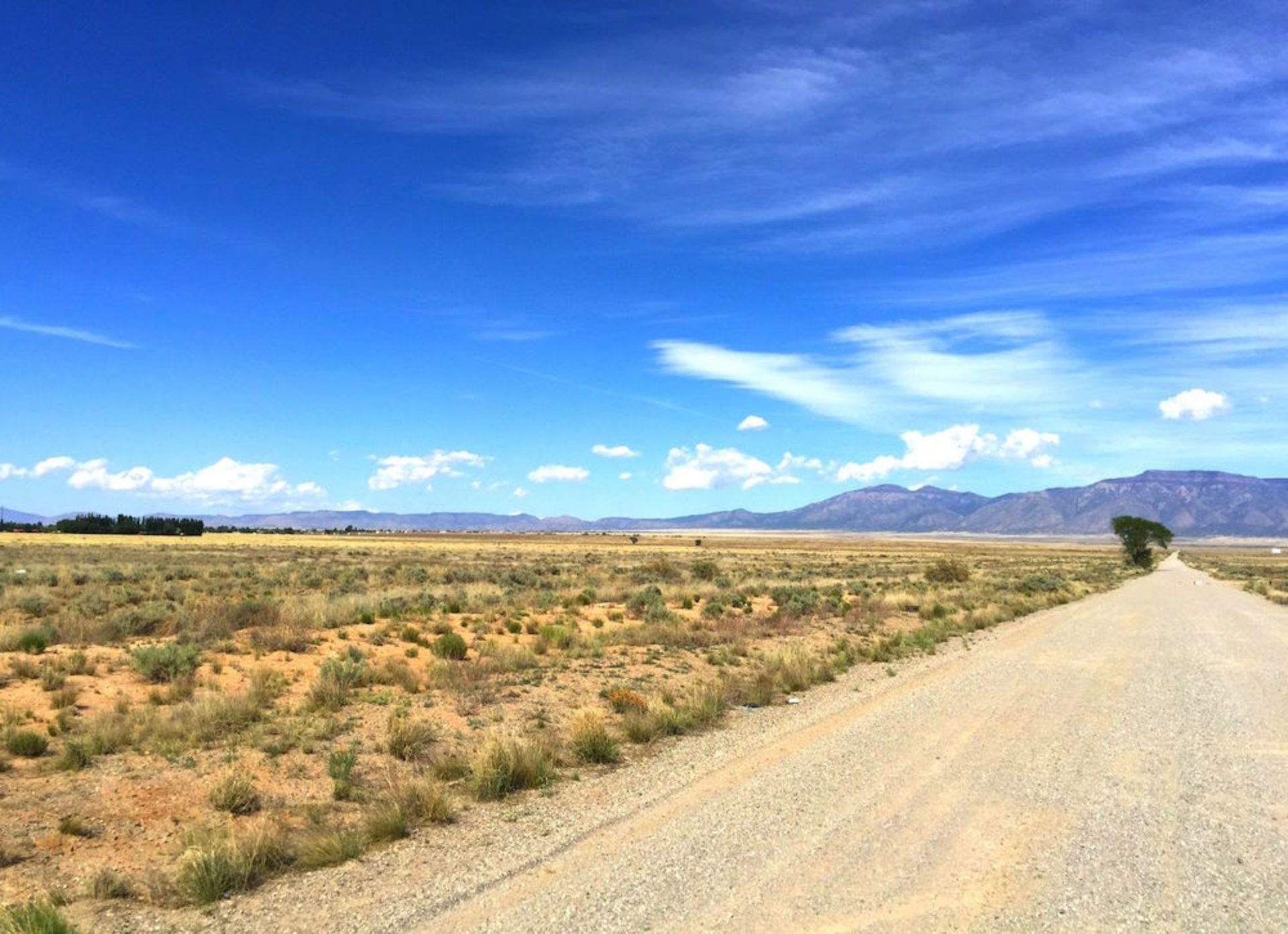New Mexico Lot Close to Roads! Bid Now!