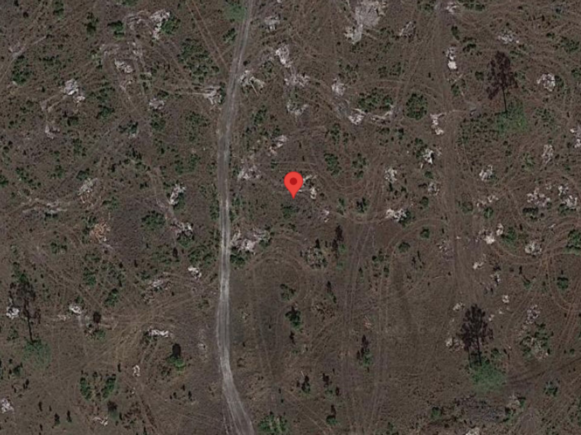 Florida Oasis Awaits: Land in Charlotte County, Florida! - Bild 10 aus 14