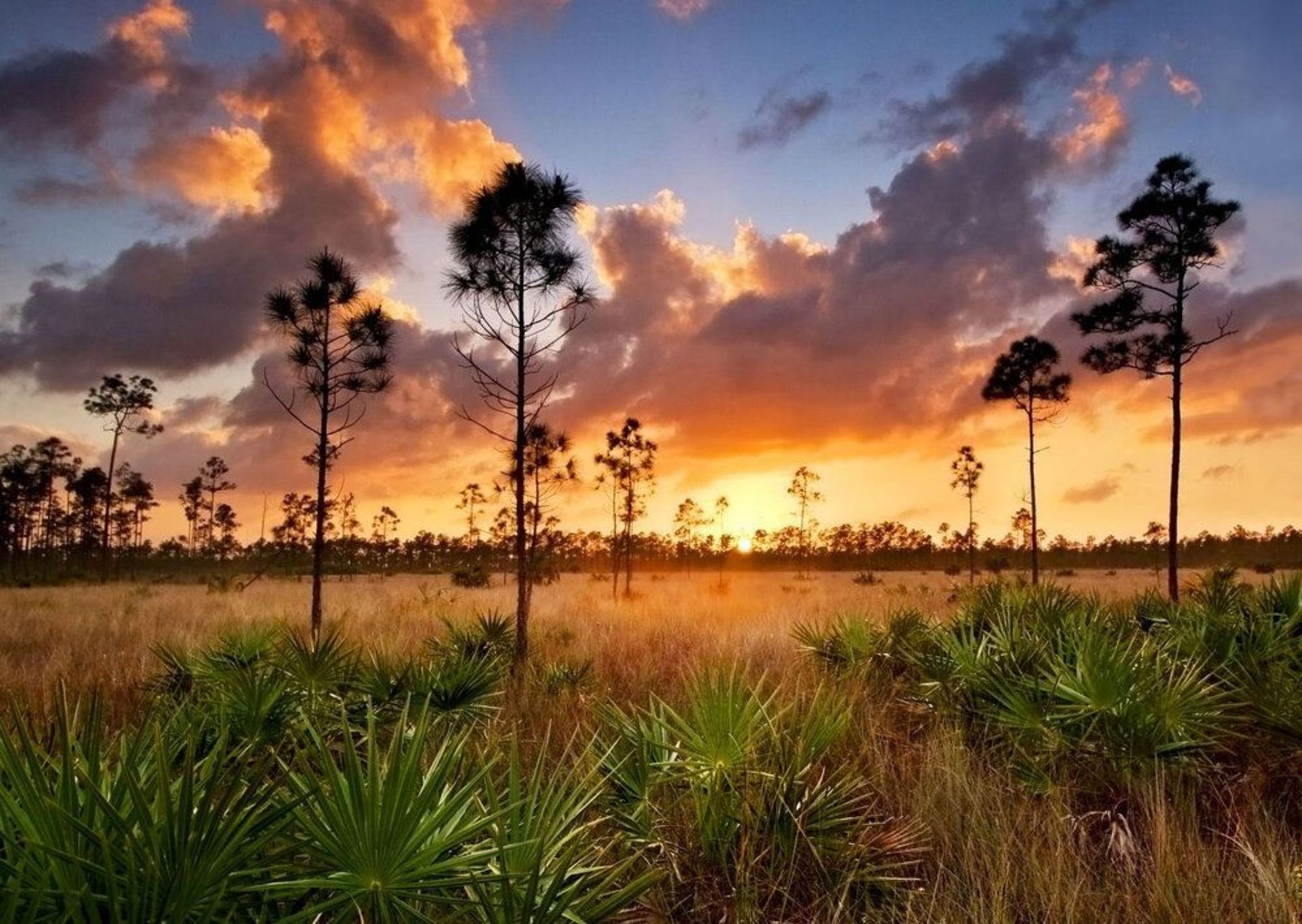 Paddle Your Way Through Florida's Shell Creek! - Image 10 of 17