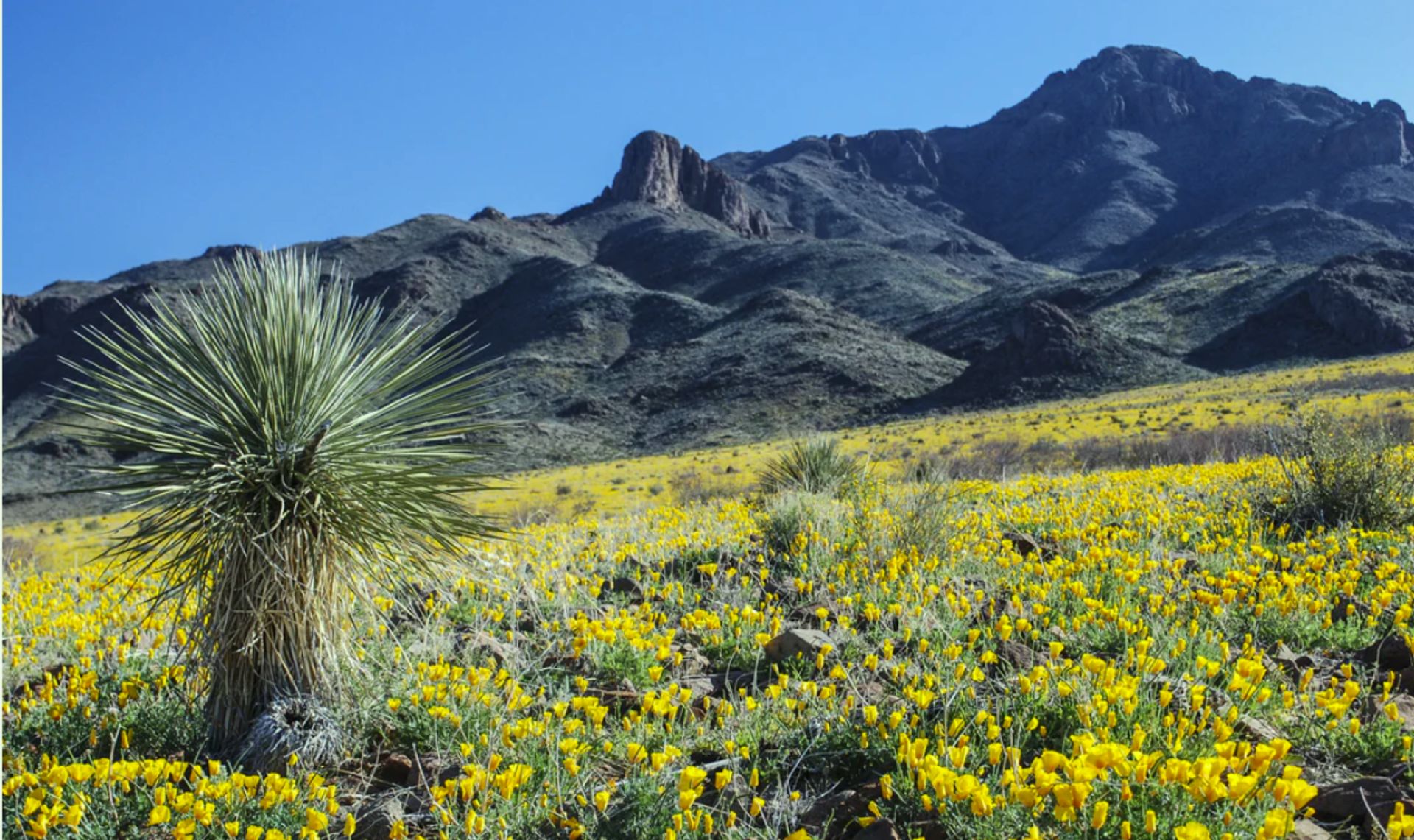 Explore Luna County, New Mexico!