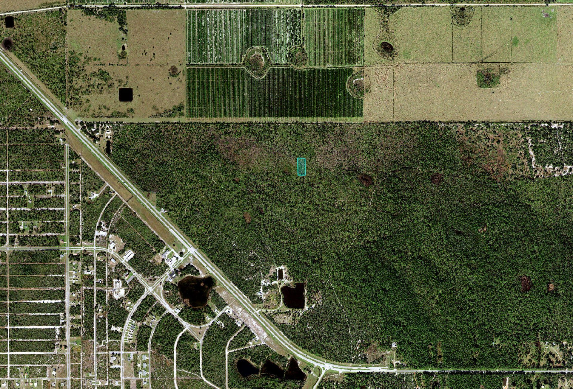 Invest in 1.45 Acres of Florida Near State Road 60! - Image 8 of 15