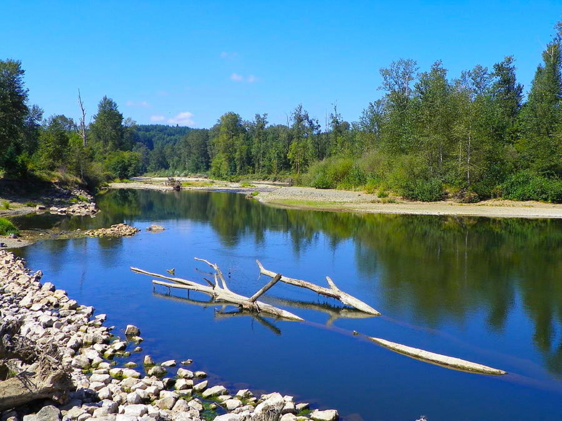 Captivating Views of the Chehalis River from this Grays Harbor Lot in Washington! - Image 9 of 13