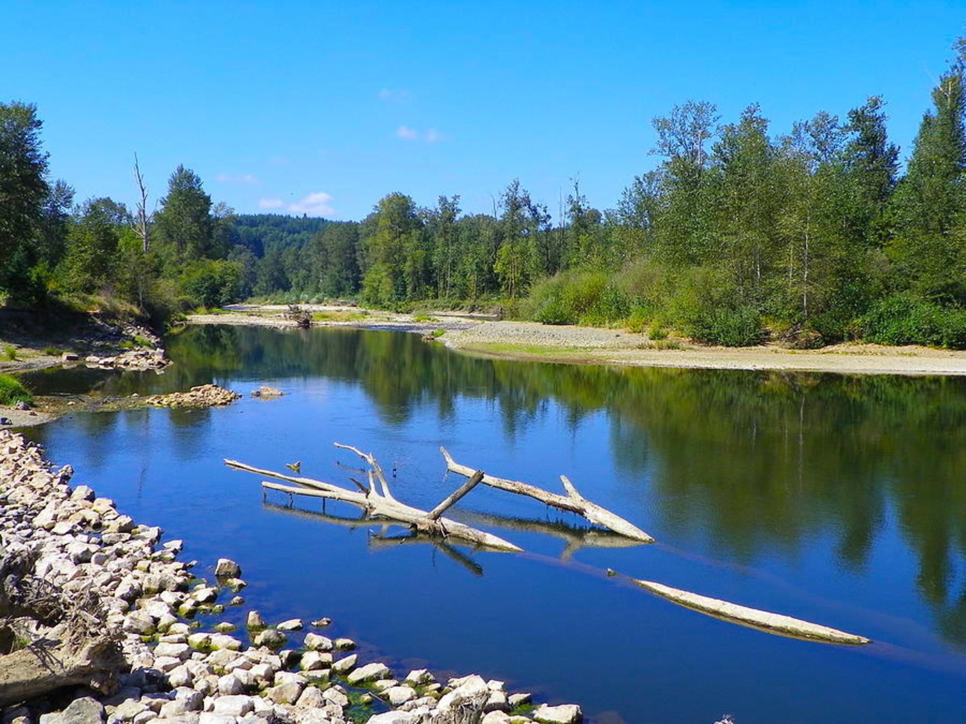 Captivating Views of the Chehalis River from this Grays Harbor Lot in Washington! - Bild 9 aus 13