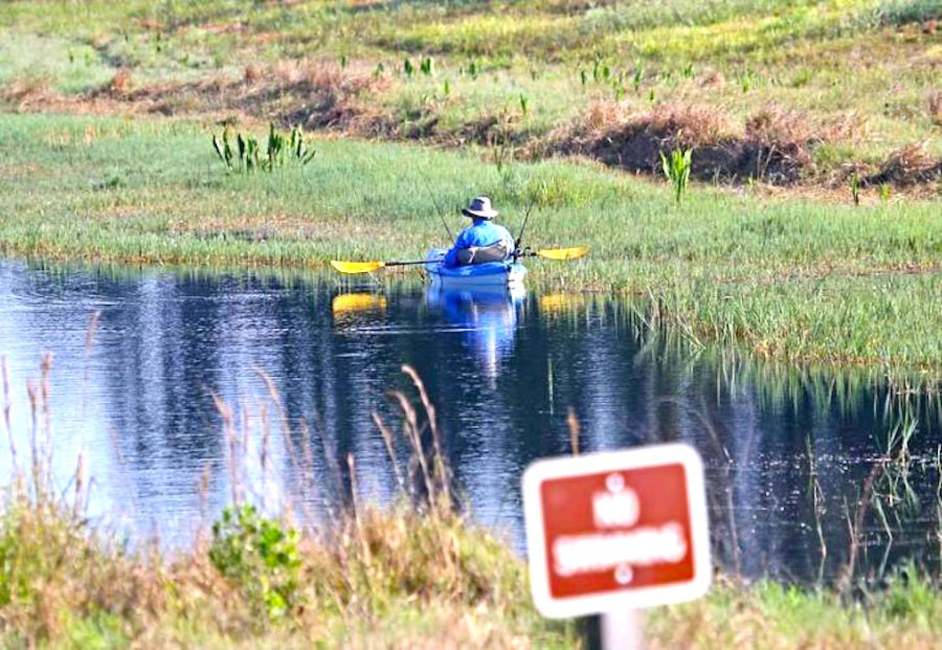 Paddle Your Way Through Florida's Shell Creek!