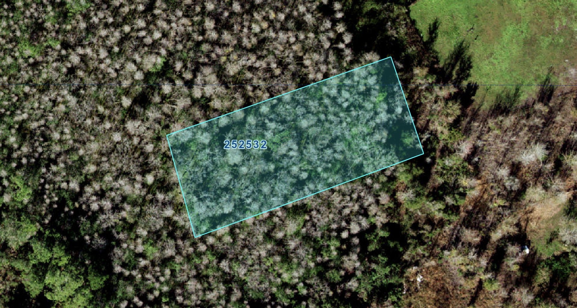 Experience the Allure of Florida With this Incredible Land for Sale! - Bild 5 aus 11
