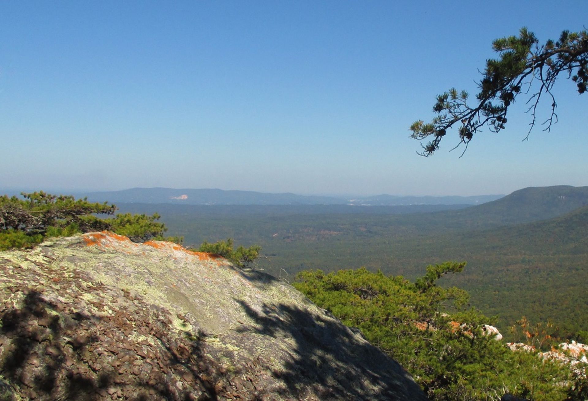 Claim Your Half-Acre Slice of Luna County, New Mexico! - Image 11 of 15