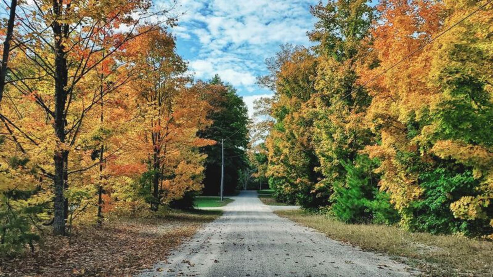 Escape to the Serene Beauty of this Lake Miramichi Community in Michigan! - Image 11 of 15