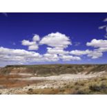 Serene Retreat: 1.31 Acre Property in Vibrant Arizona!