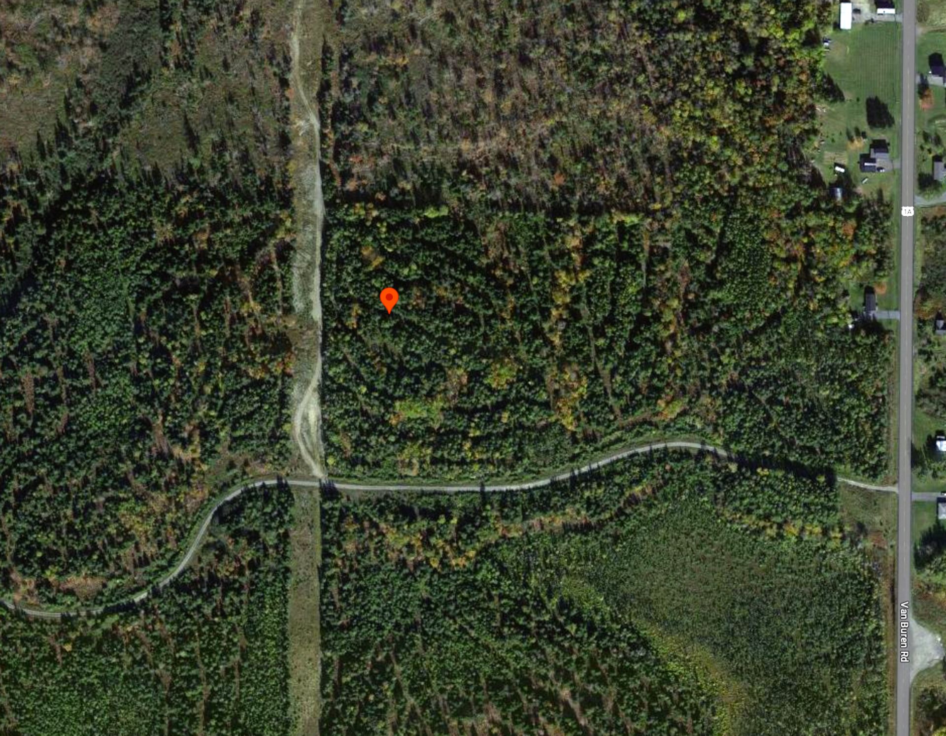 Over 18 Wooded Acres in Aroostook County, Maine! - Image 10 of 15