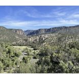 Invest in a Half-Acre Lot of Luna County's Desert Oasis!