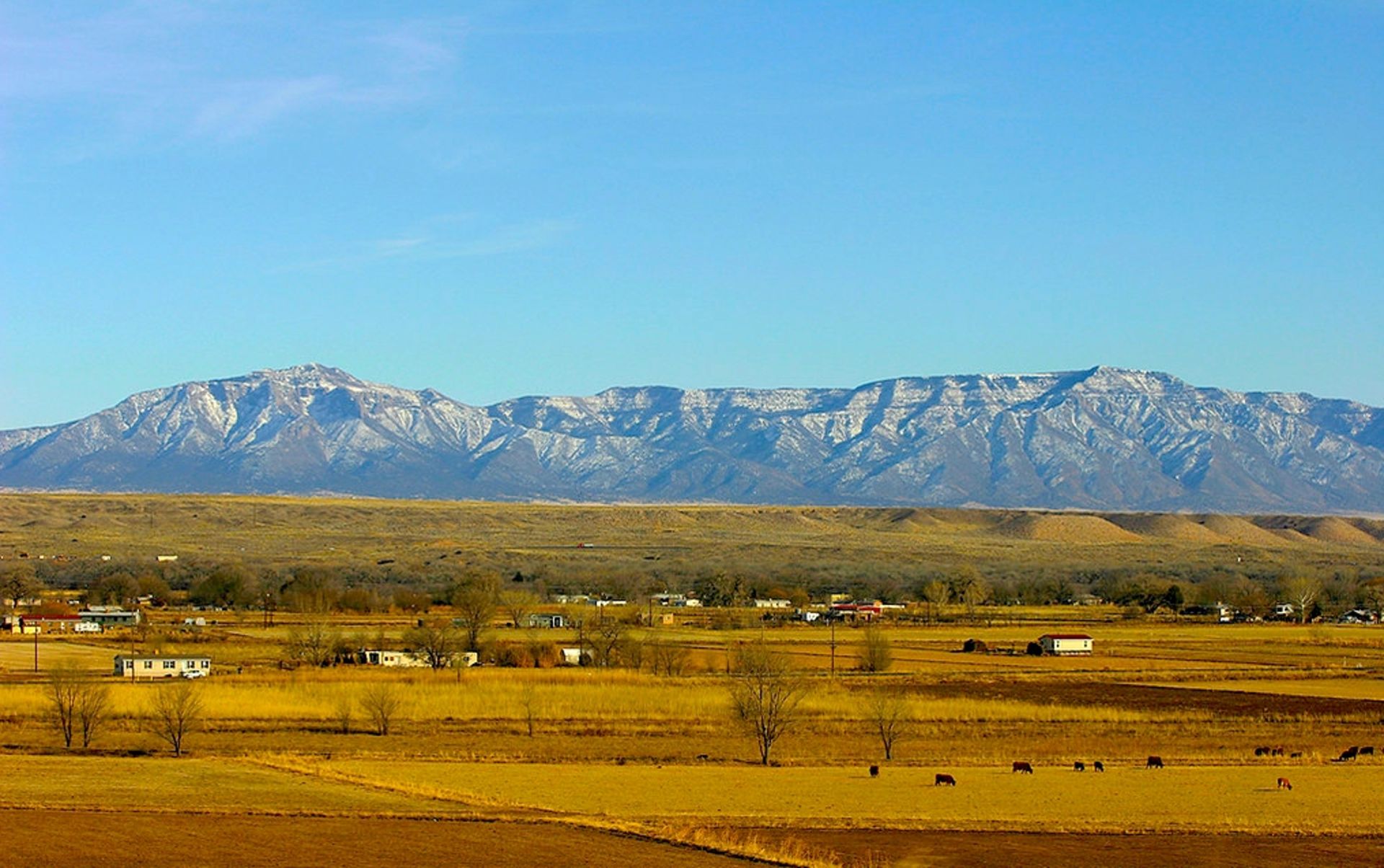 Seize Your Opportunity: Invest in Flourishing New Mexico! - Image 8 of 18