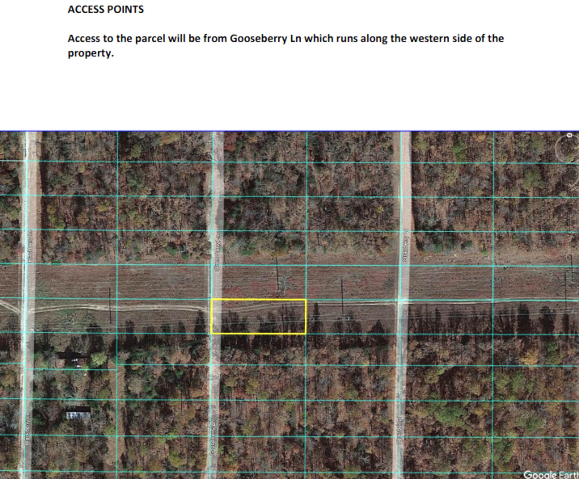 Invest in Yourself & Invest in Land with this Quarter-Acre Lot in Horseshoe Bend, Arkansas! - Bild 6 aus 15