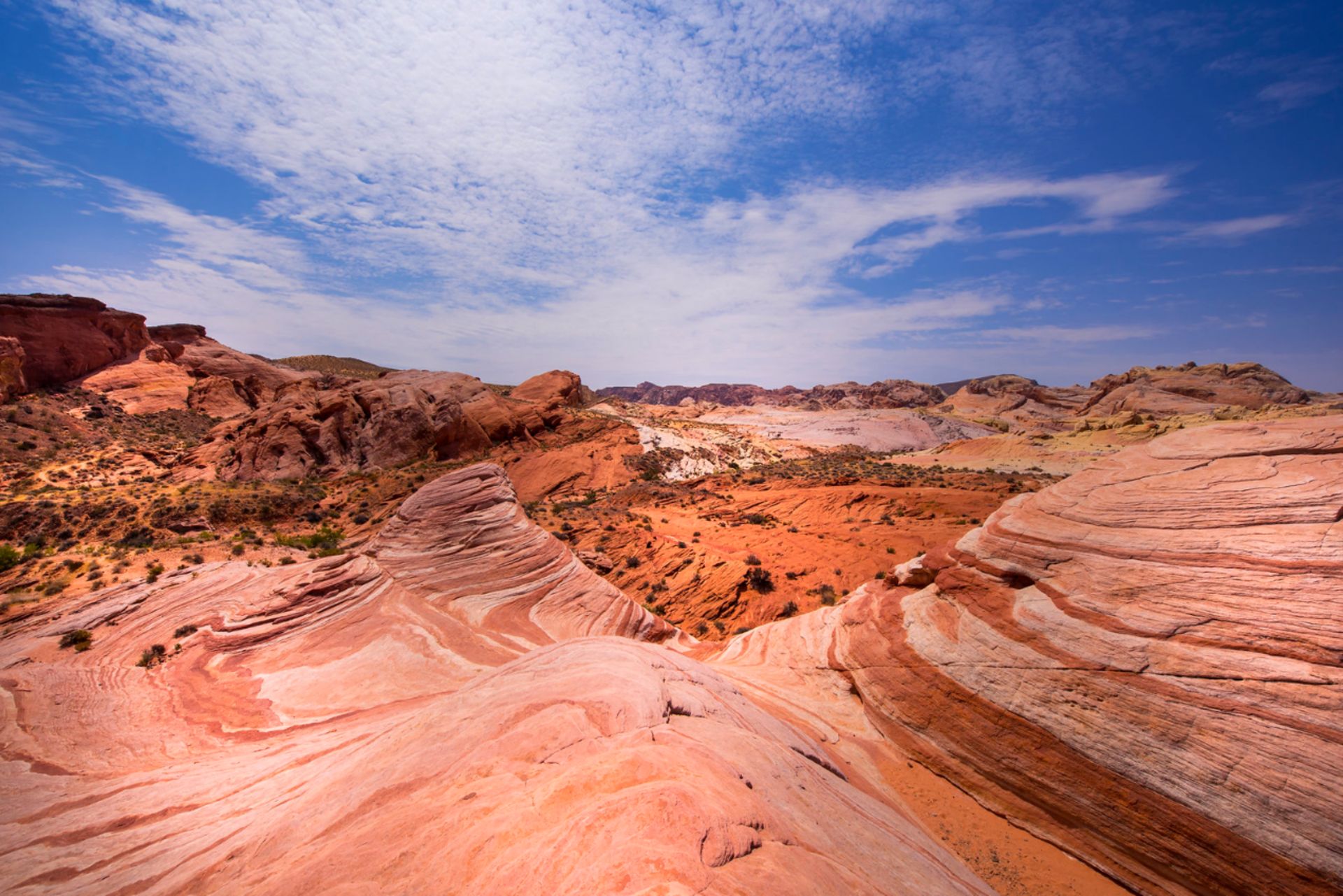 1.26 Acres in Breathtaking Navajo County, Arizona! - Image 6 of 13