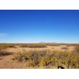 Half-Acre Scenic Lot in Luna County, New Mexico!