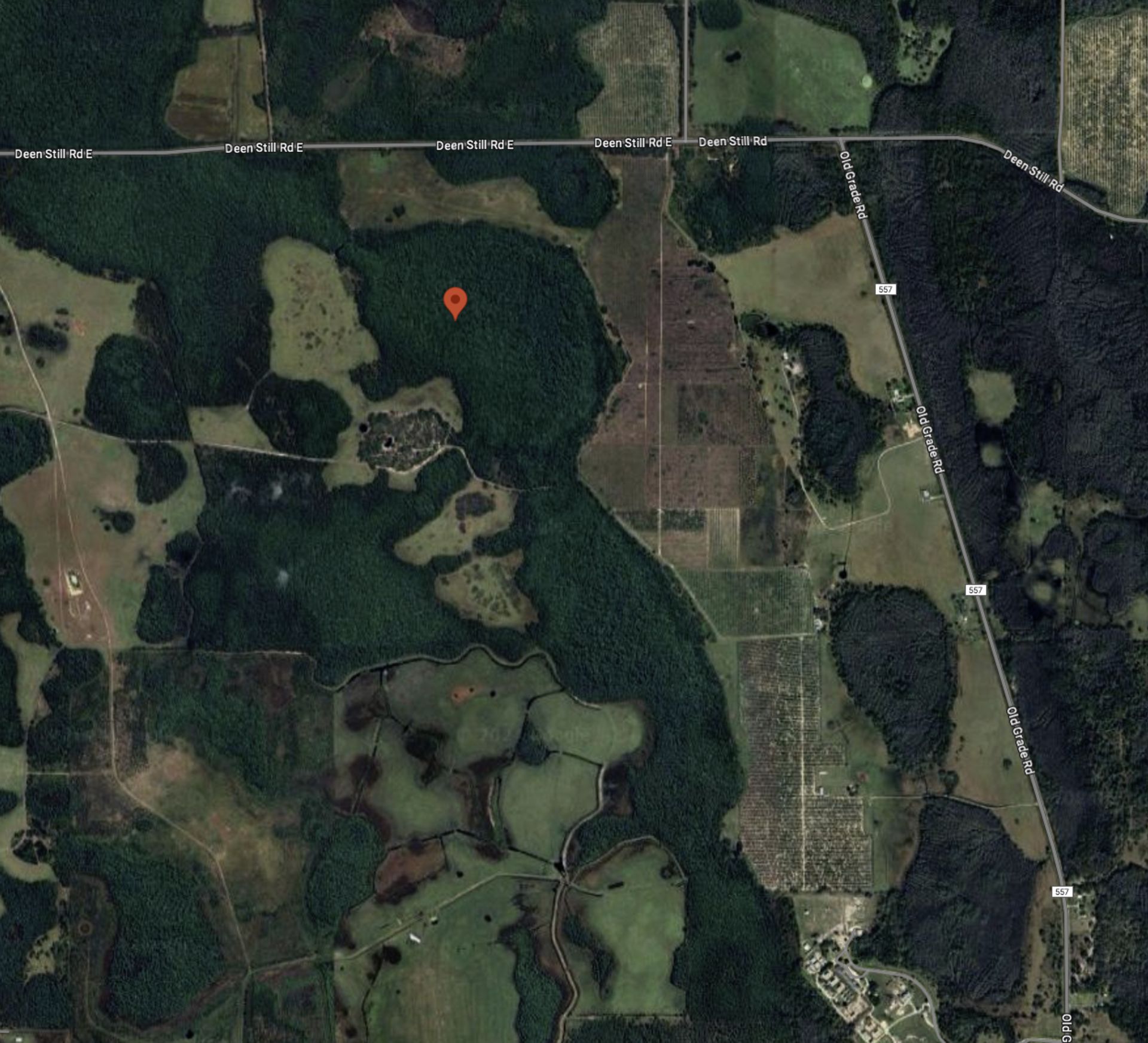 Capture This Investment Opportunity: 1.25 Acres in Polk County, Florida! - Image 8 of 10