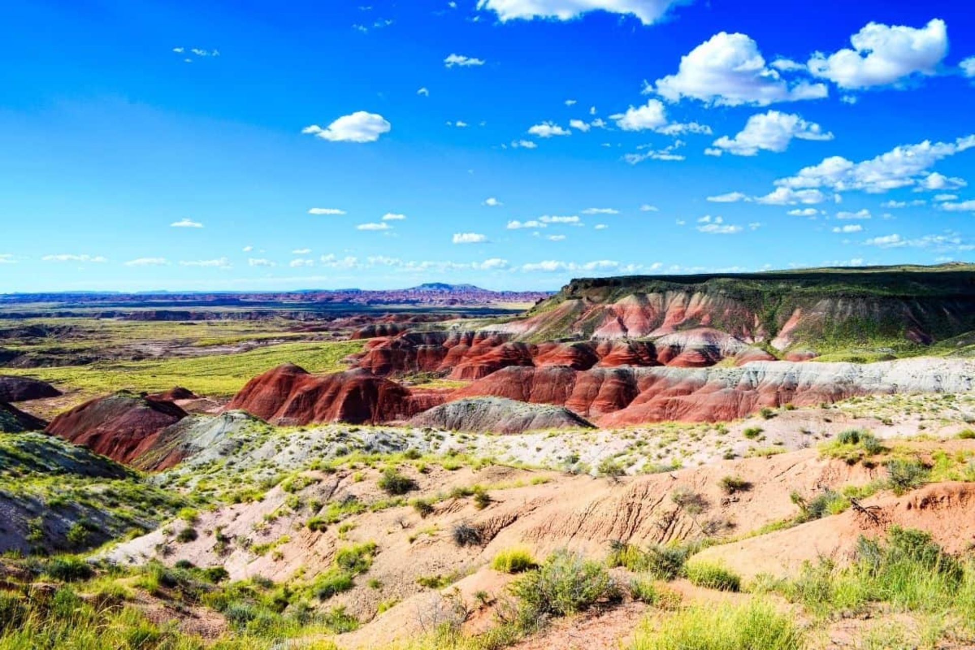 Explore Navajo County, Arizona! - Bild 7 aus 12