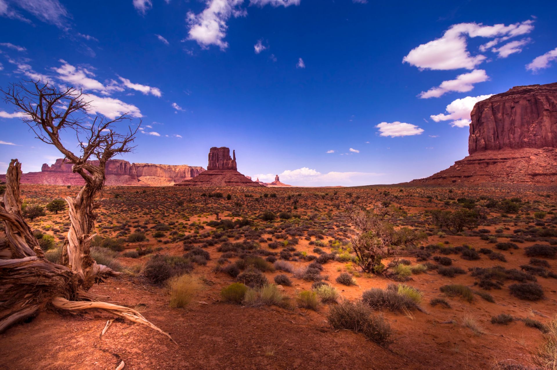 1.26 Acres in Breathtaking Navajo County, Arizona!