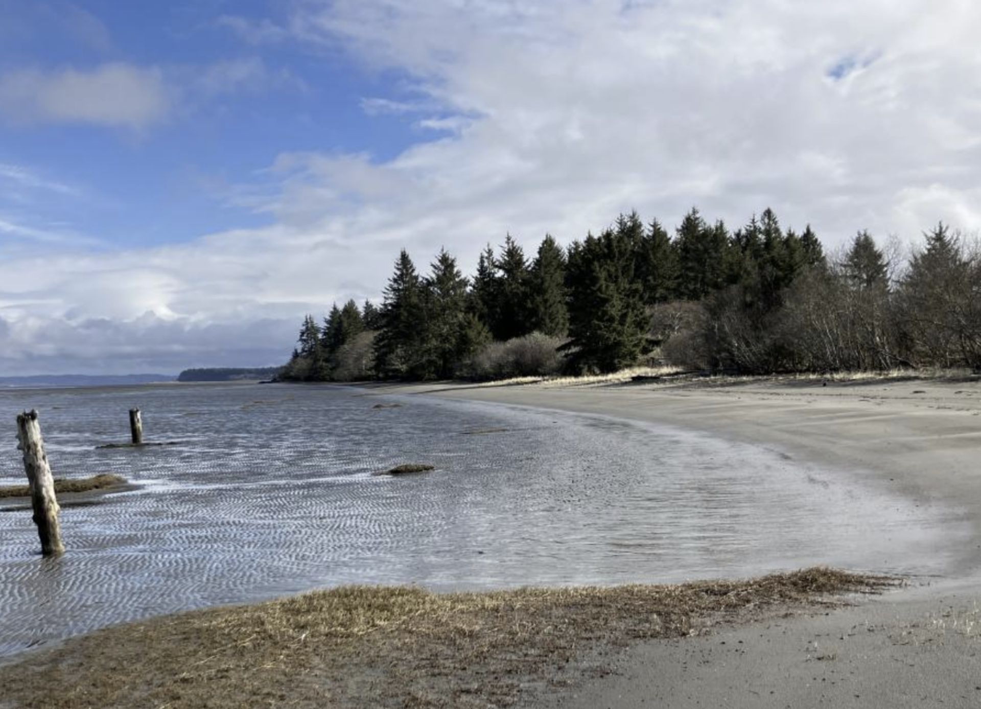 Discover Coastal Paradise: Grays Harbor, Washington Beckons You!