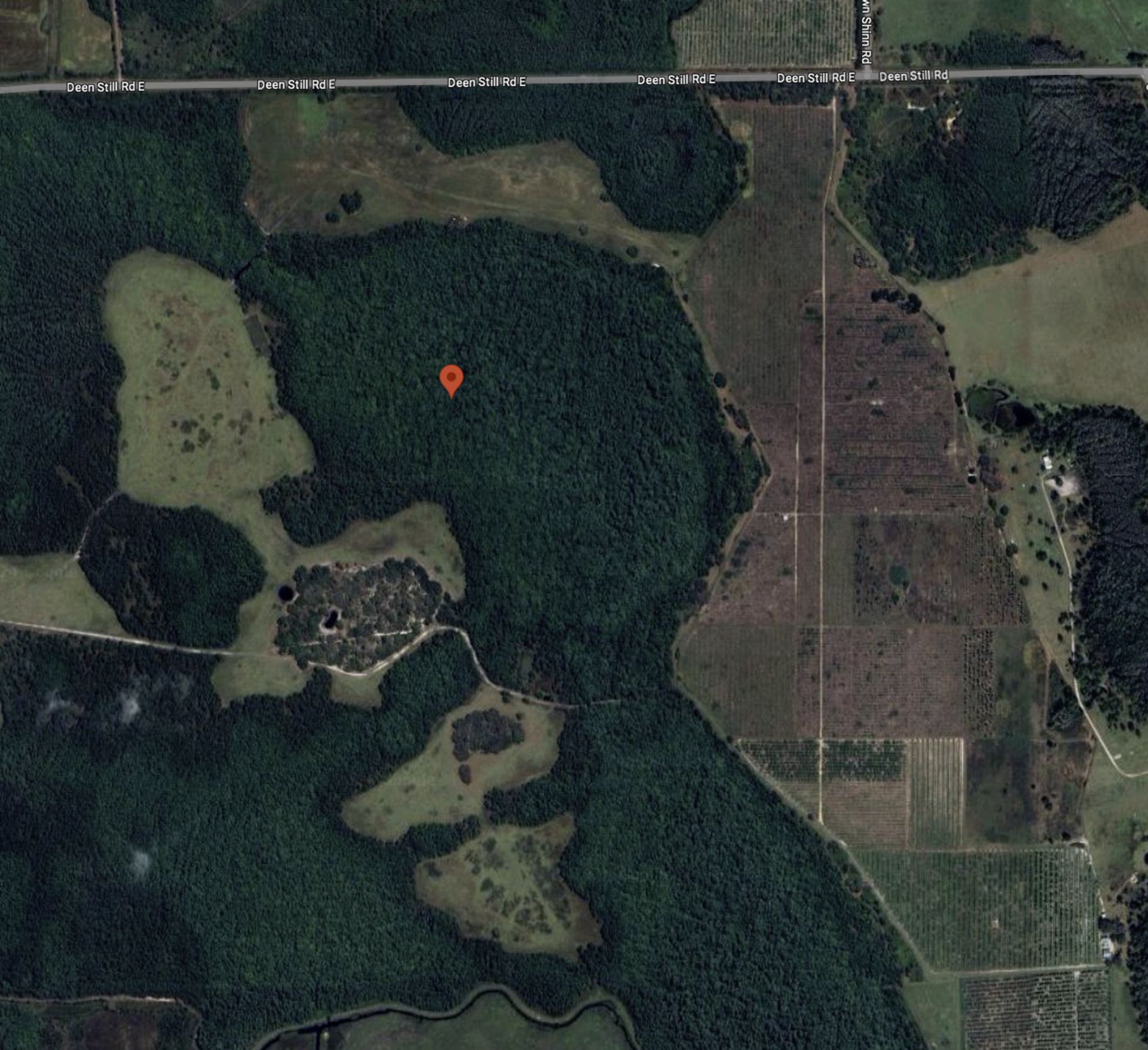 Capture This Investment Opportunity: 1.25 Acres in Polk County, Florida! - Image 7 of 10