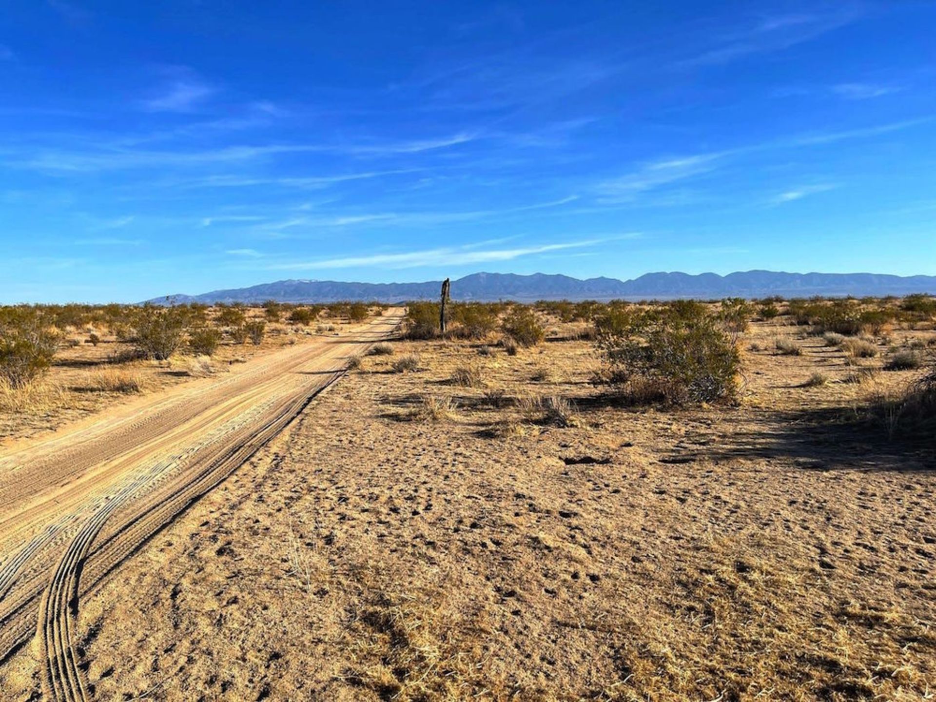 Easy Road Access to this LA County Lot! - Image 2 of 16