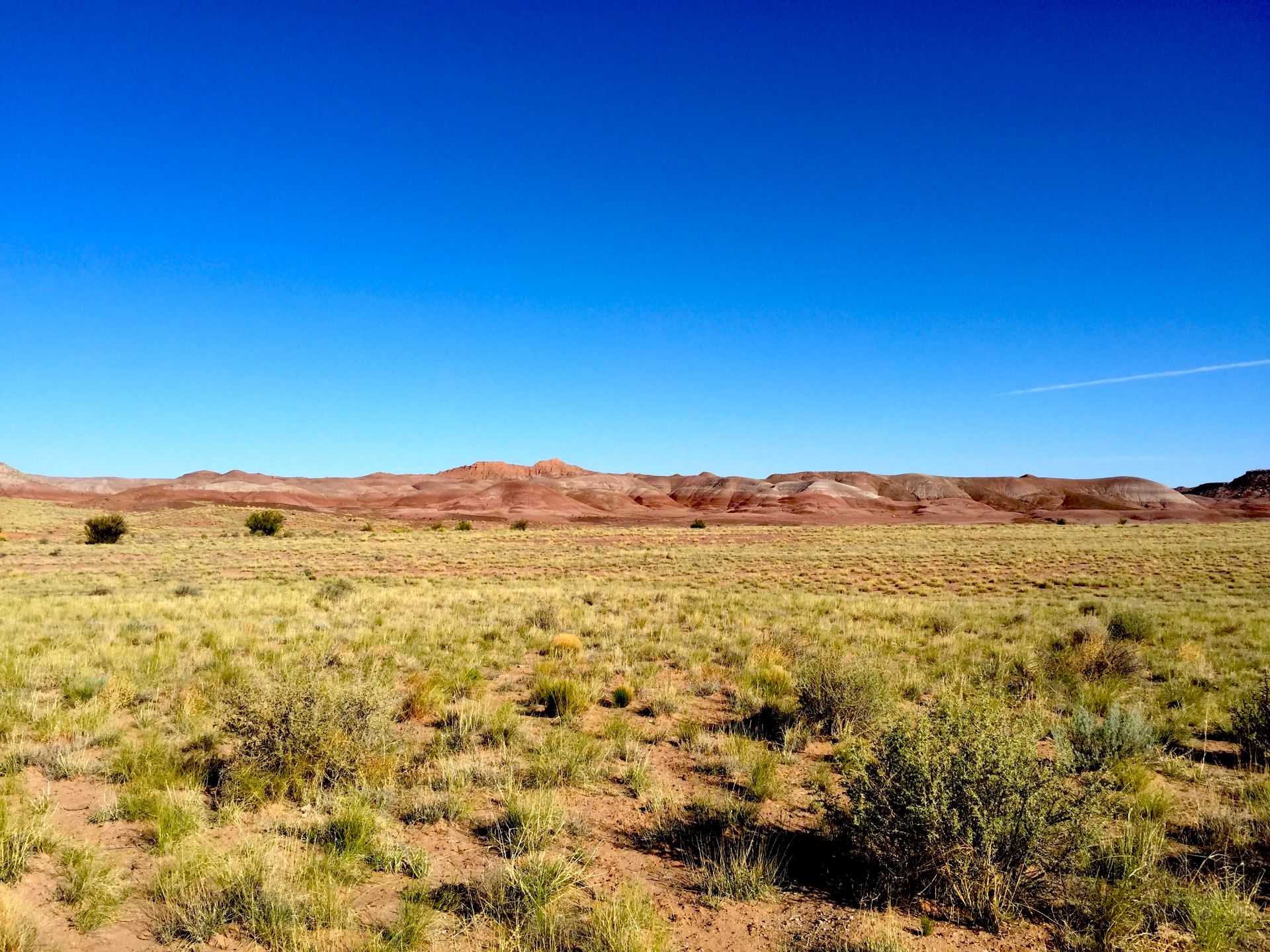 1.32 Acres of Beauty and Culture in Navajo Haven!