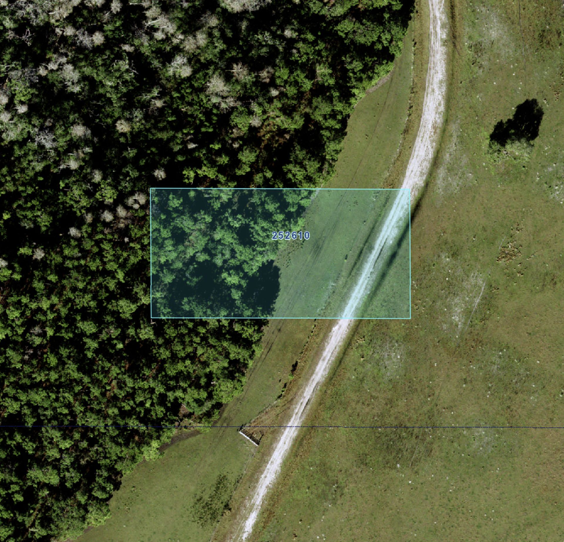 Invest in Polk County: 1.25 Acres in Central Florida! - Image 8 of 16