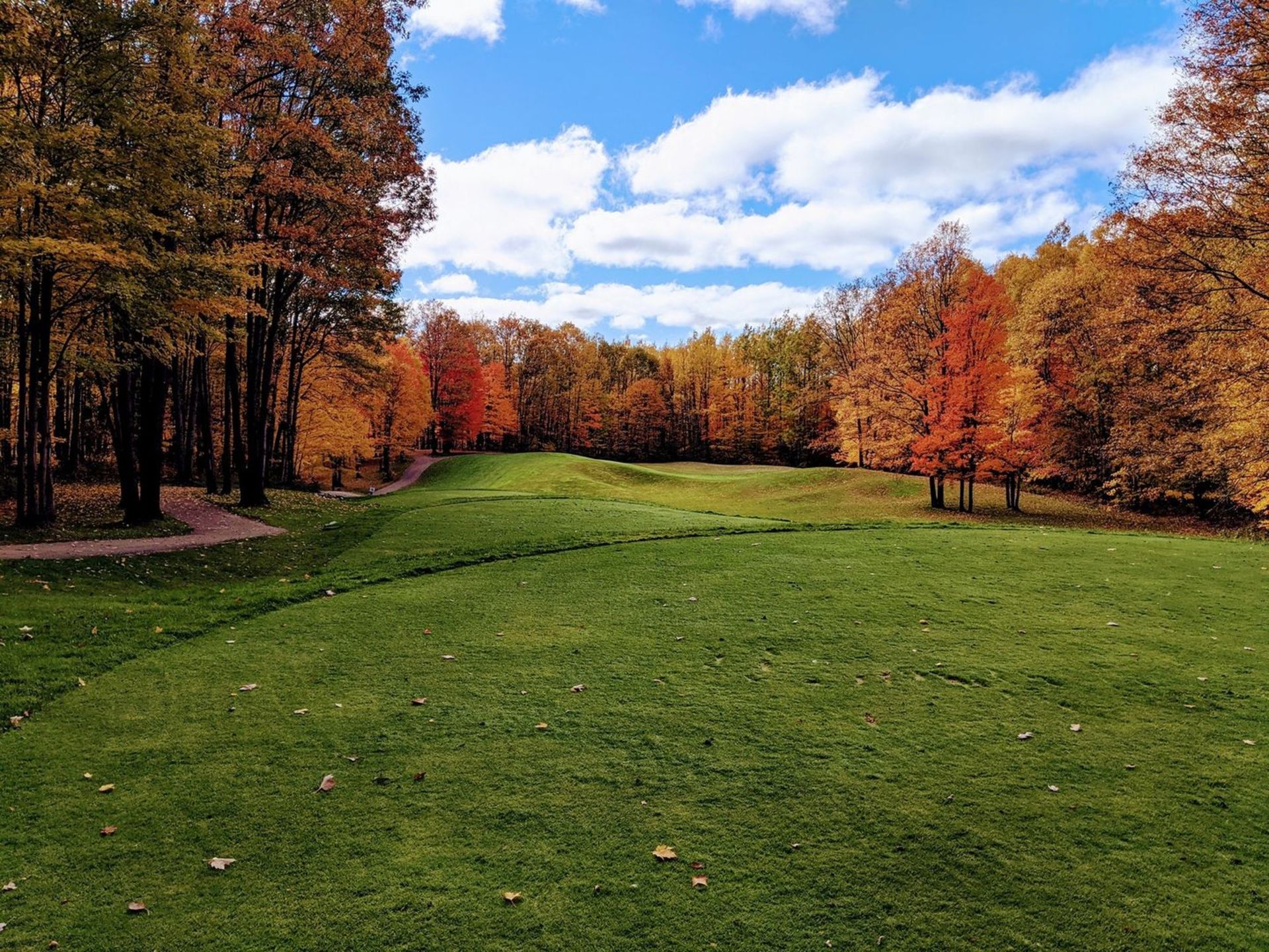Build Your Dream Home on a Lot at Garland Woods Golf Resort in Oscoda County, Michigan! - Image 17 of 17