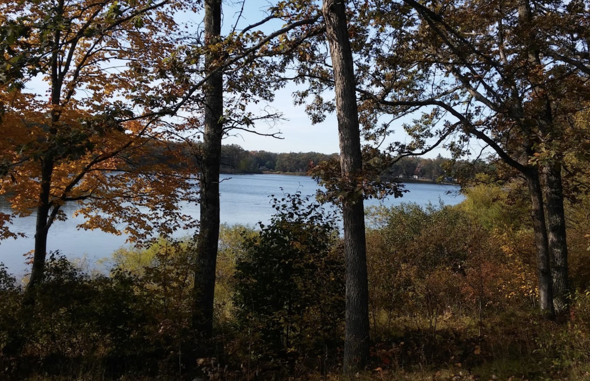 Camp Near Lakes: Serene Lot in Lake County, Michigan's Outdoor Haven! - Bild 16 aus 16