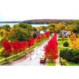 Jackson County, Michigan: The Perfect Balance of History, Beauty & Culture!
