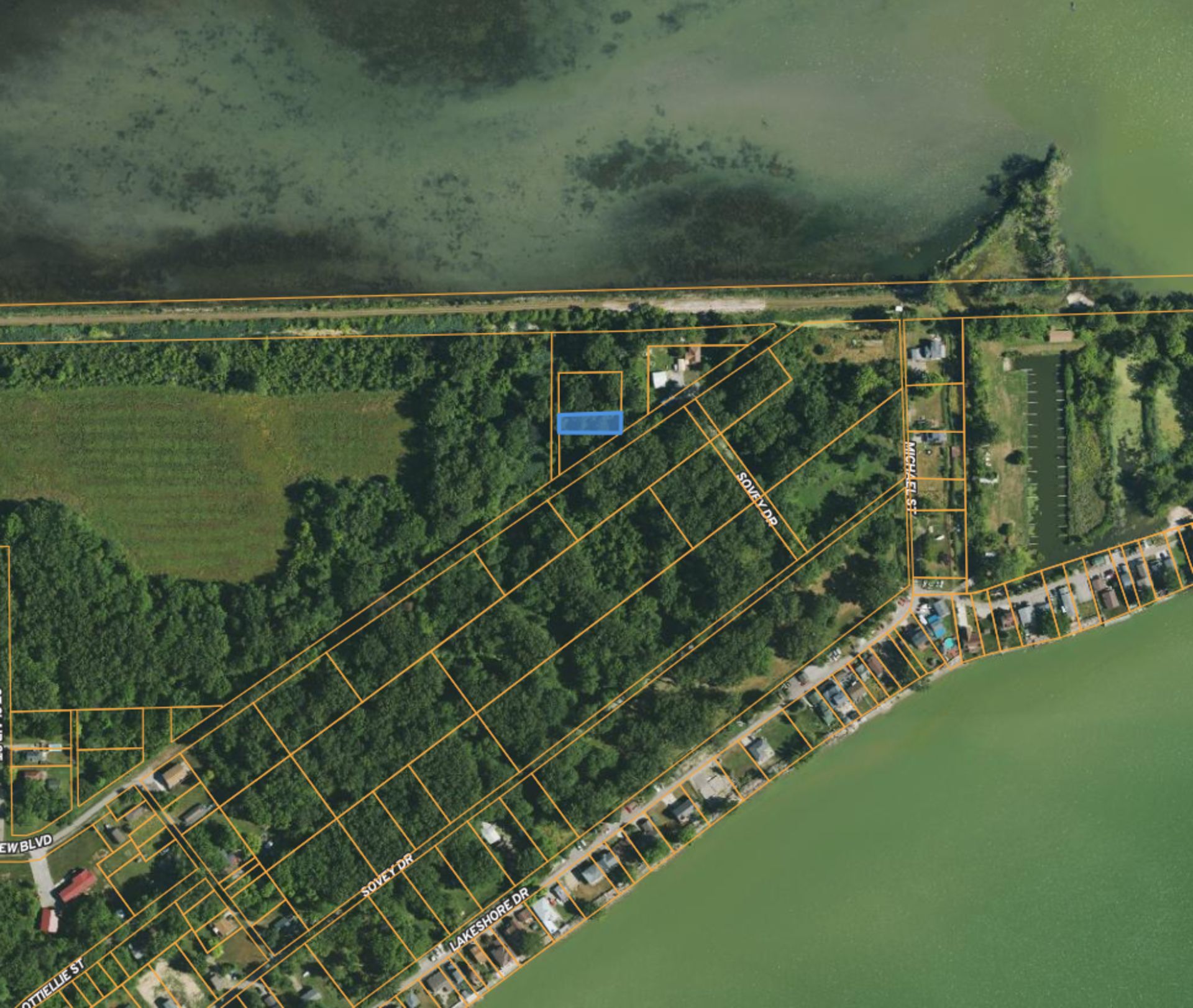 Invest Along Michigan's Lakeshore Near Lake Erie! - Bild 3 aus 15