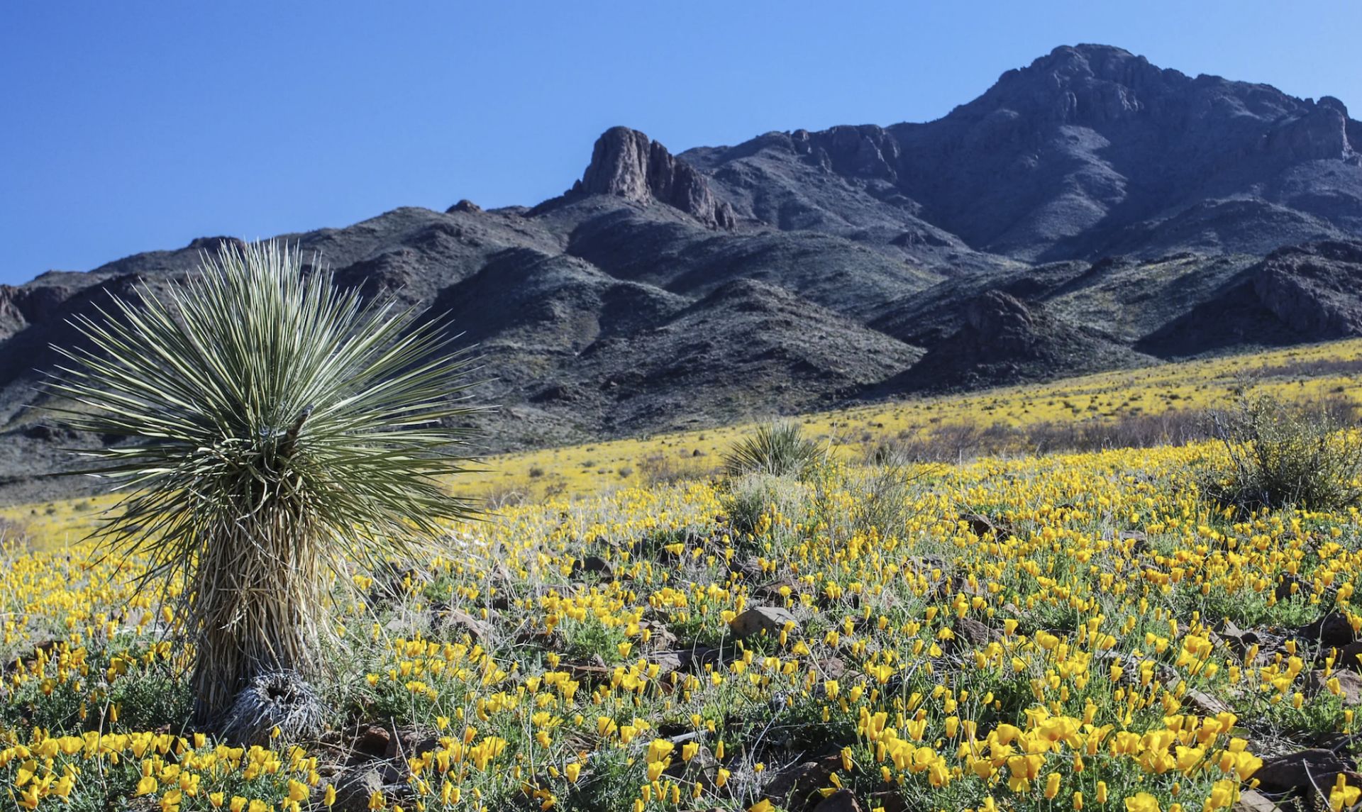 Discover Luna County, New Mexico! - Image 5 of 8