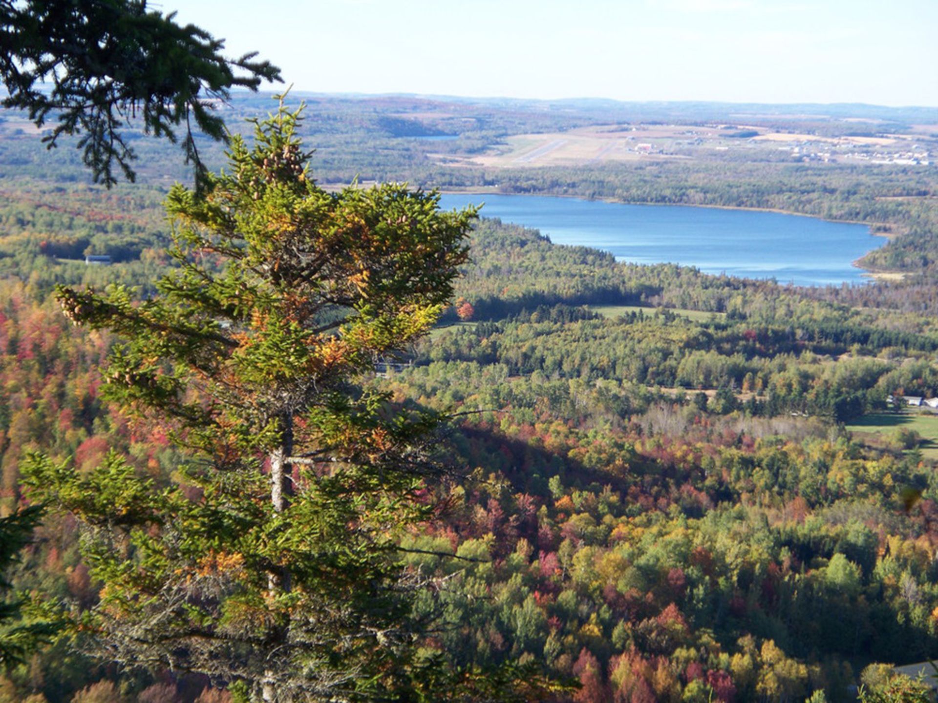 Discover Aroostook County: Your 49.9 Acre Gateway to Maine's Wild & Timeless Beauty! - Image 15 of 15