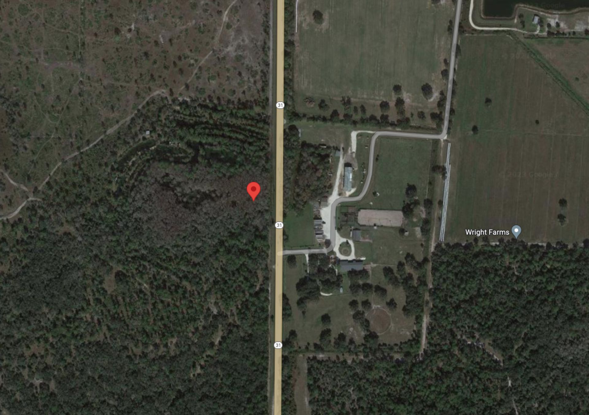 Claim Your Piece of Land in Charlotte County, Florida! - Image 9 of 12