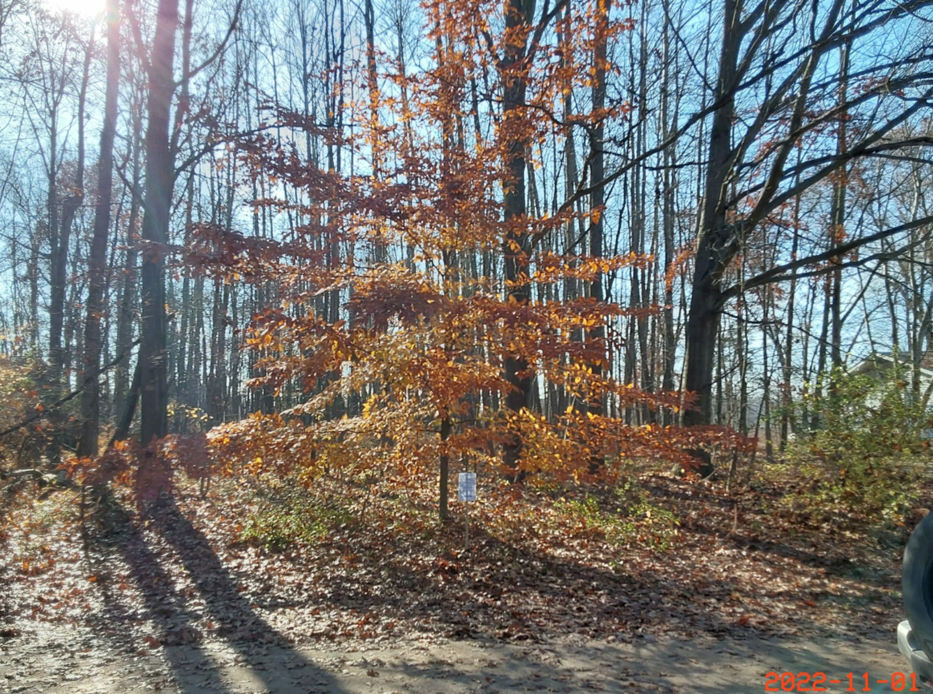 Future Home Site in Canadian Lakes, Michigan! - Image 7 of 12