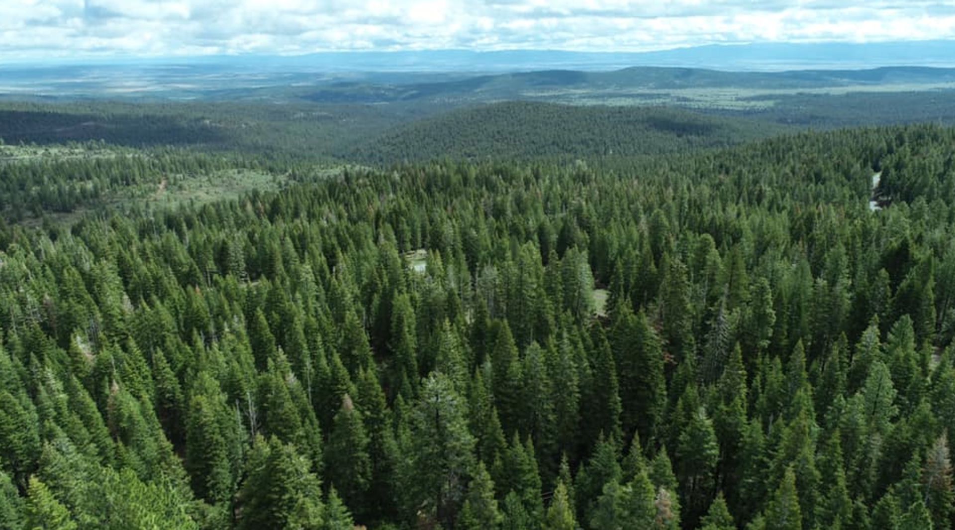 Build Your Sanctuary in the Peaceful Pine Woods of Modoc County, California! - Bild 2 aus 16