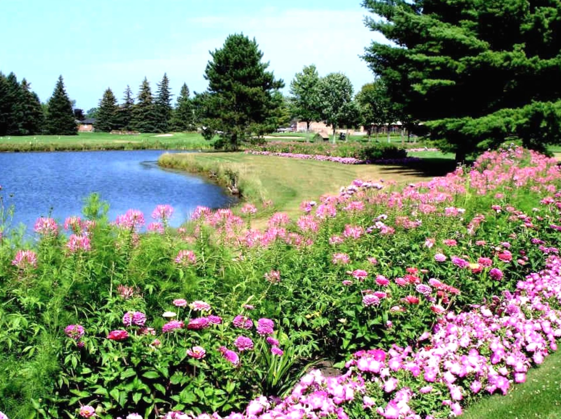 If Golf is Your Sport, Take a Peek at This Michigan Lot! - Image 14 of 19