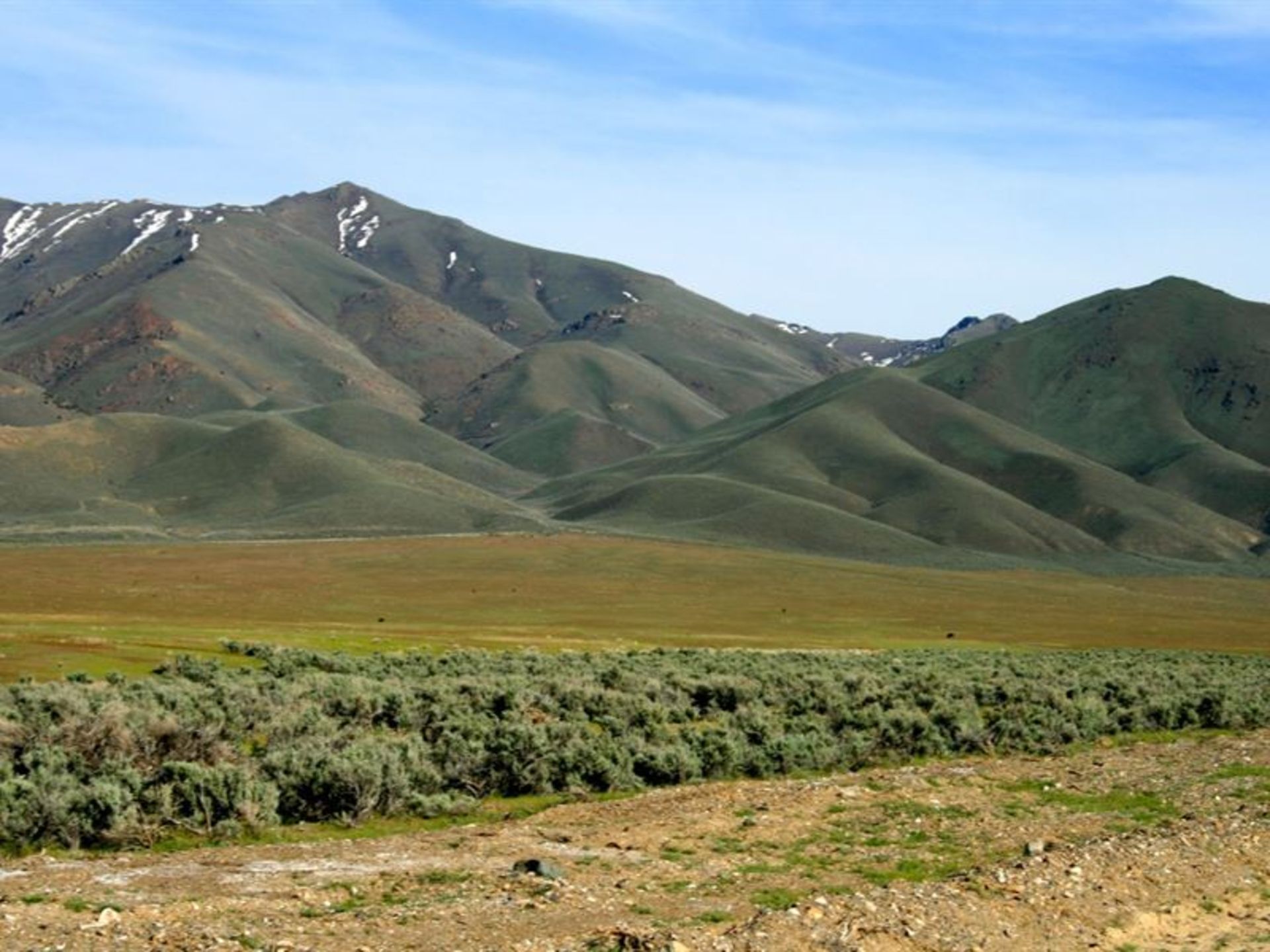 10 Acres of Stunning Landscape: Own a Piece of Nevada's Splendor! - Bild 6 aus 6