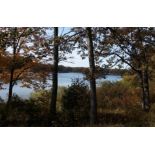 Camp Near Lakes: Serene Lot in Lake County, Michigan's Outdoor Haven!