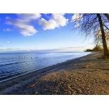 Unlock the Wonders of Great Lake Erie in Monroe County, Michigan!