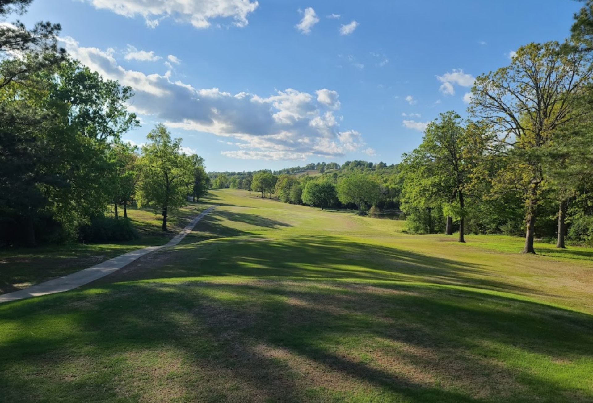 Invest in Yourself & Invest in Land with this Quarter-Acre Lot in Horseshoe Bend, Arkansas! - Image 11 of 15