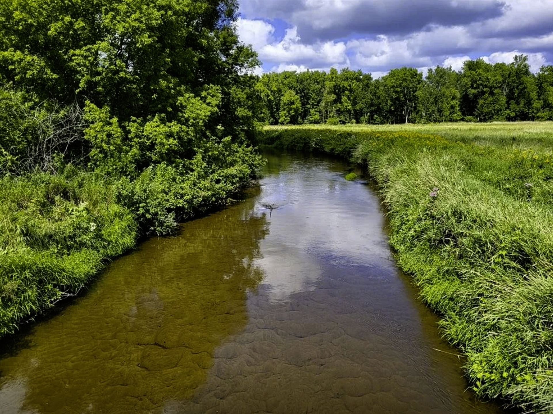 A Stone's Throw to Redeye River from this Wadena County, Minnesota Lot! - Bild 9 aus 13