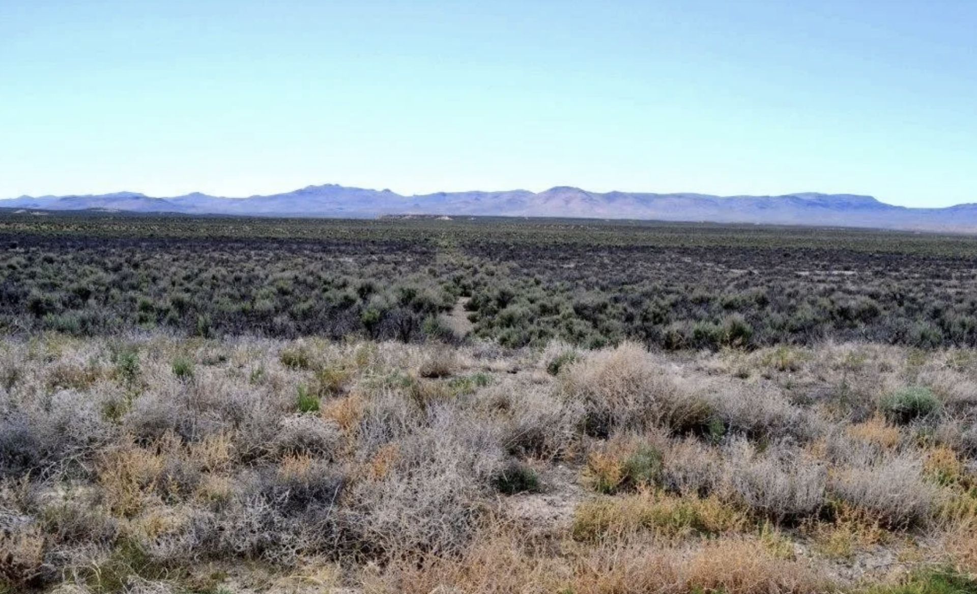 41.85 Acres in Elko County's High Mountain Desert! - Image 6 of 14