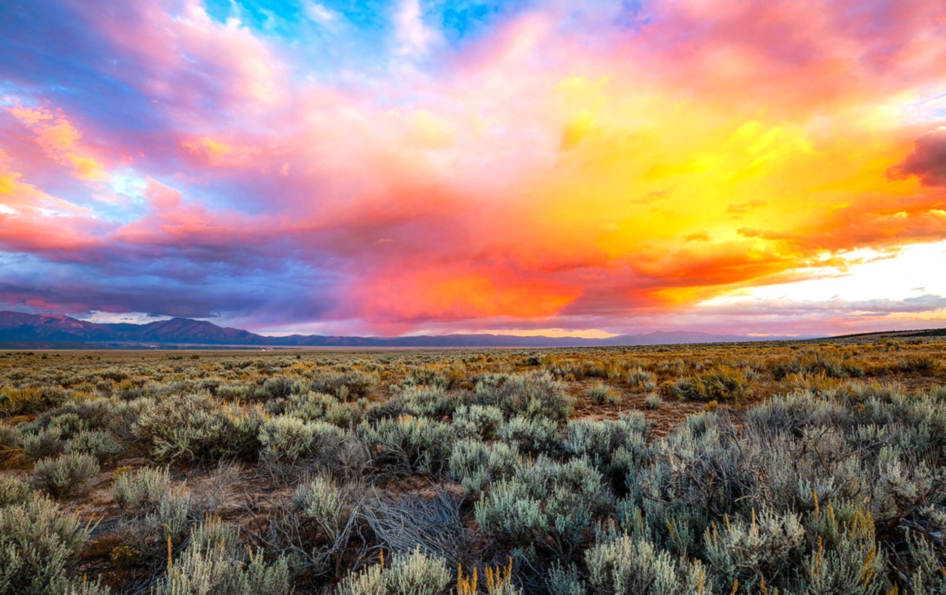 A Short Walk from the Rio Del Oro Loop in Valencia, New Mexico! - Image 7 of 17