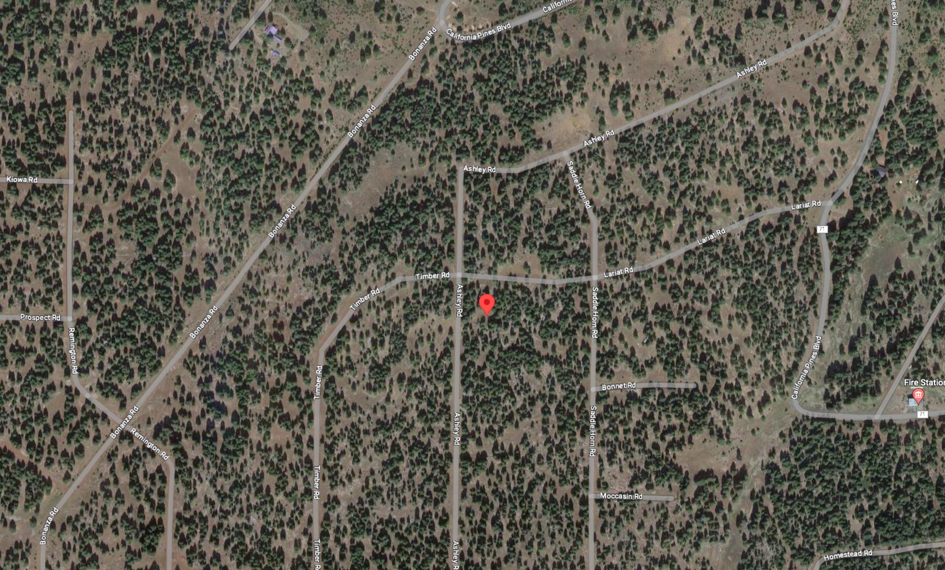 Build Your Sanctuary in the Peaceful Pine Woods of Modoc County, California! - Bild 13 aus 16
