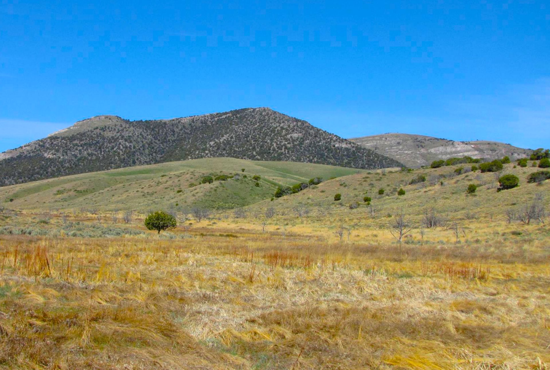 20 Acres of Nevada's High Mountain Desert in Elko County! - Image 2 of 11