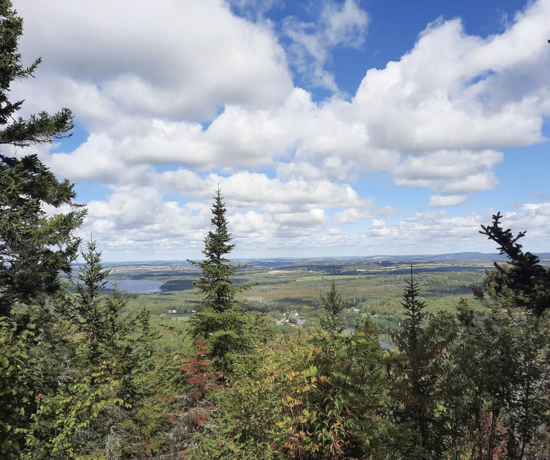 Explore Aroostook County, Maine: Where Wilderness Meets Warmth and Charm! - Image 10 of 15