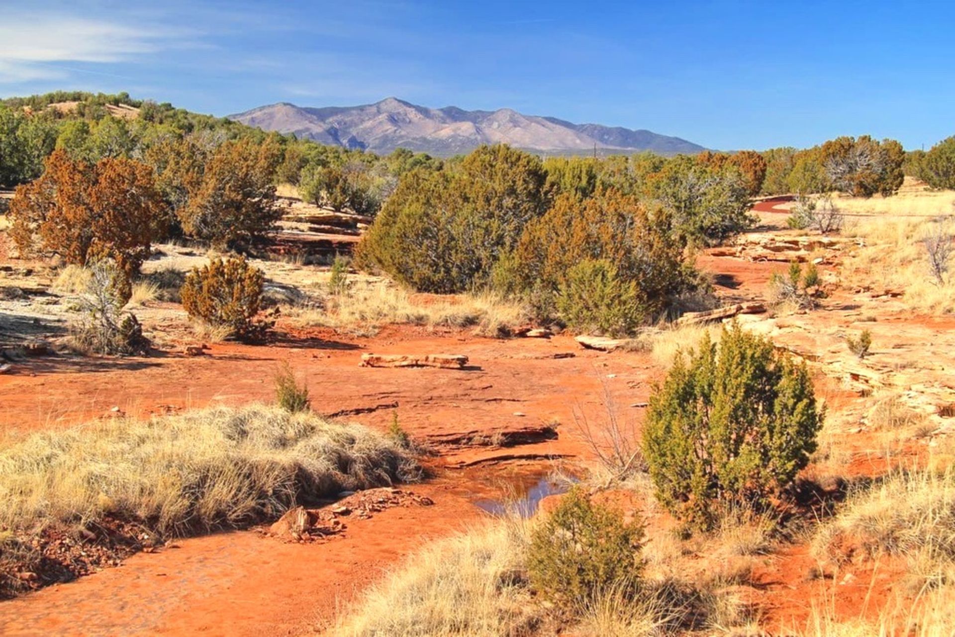 A Short Walk from the Rio Del Oro Loop in Valencia, New Mexico!