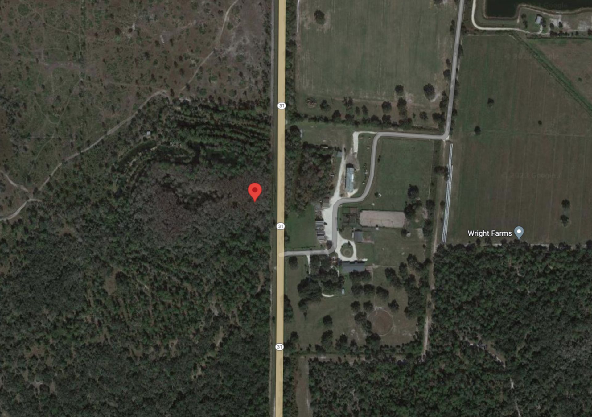 Get Your Own Patch of Land in Charlotte County, Florida! - Image 9 of 12