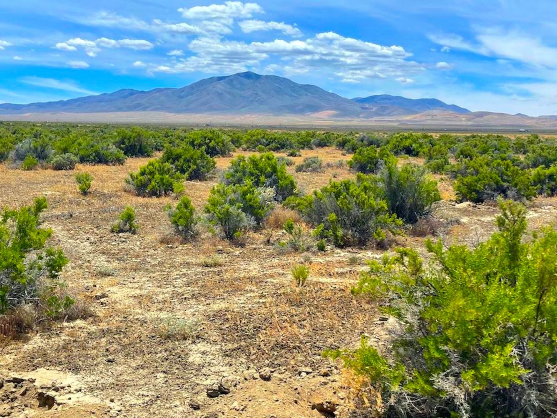 20 Acres of Nevada's High Mountain Desert in Elko County! - Image 7 of 11